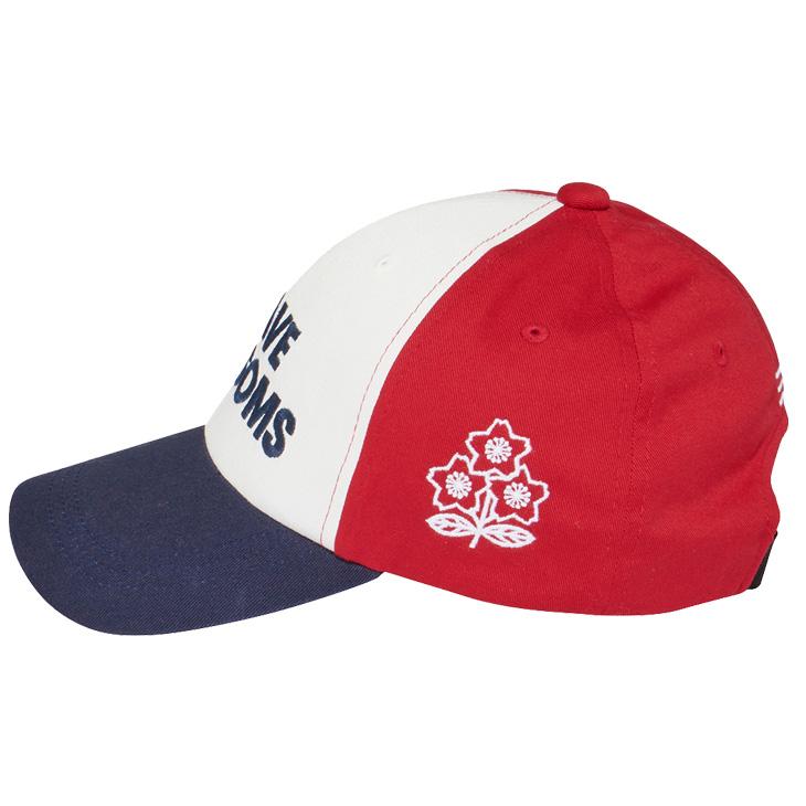 Lサイズ2枚セット　ラグビー日本代表　brave blossom カンタベリー Lサイズ2枚セット ラグビー日本代表 brave blossom カンタベリー