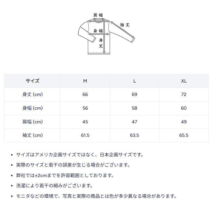 Champion（チャンピオン） スウェット 長袖パーカー メンズ リバース
