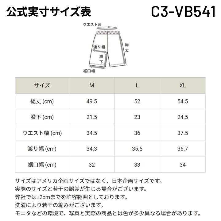 Champion（チャンピオン） 半袖Tシャツ ハーフパンツ 上下 メンズ