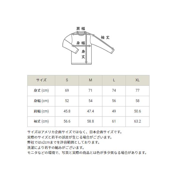 Champion（チャンピオン） 長袖 Tシャツ メンズ E-MOTION