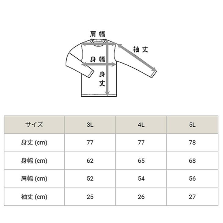 Champion（チャンピオン） 半袖 Tシャツ メンズ 3L 4L 5L 大きいサイズ