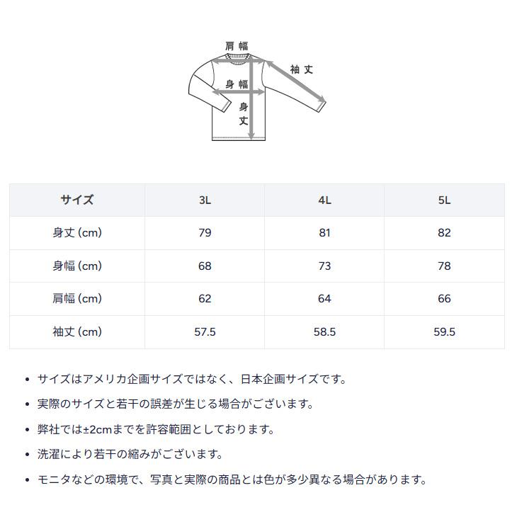チャンピオン×UNDEFEATEDＬサイズ Champion（チャンピオン） 長袖 Tシャツ 3L 4L 5L メンズ 大きいサイズ