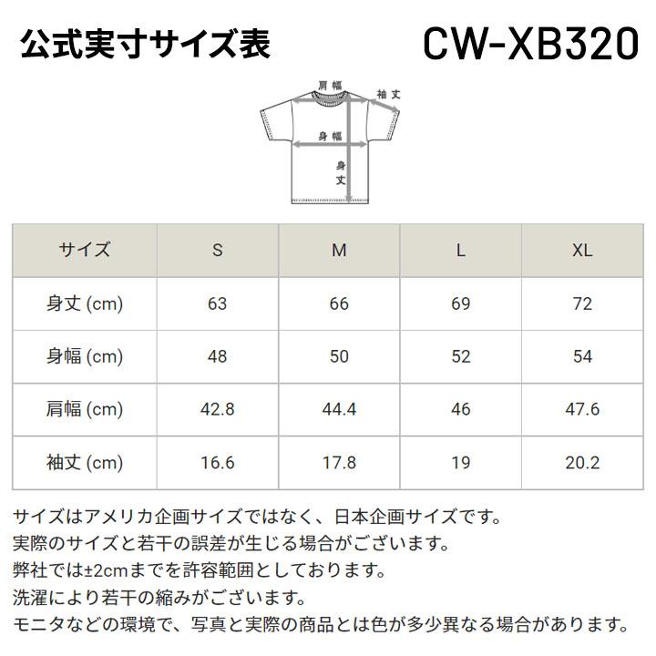 半袖 Tシャツ レディース Champion  チャンピオン ショートスリーブTシャツ/バスケットボール スポーツウェア トレーニング 吸汗速乾 抗菌防臭 女性 /CW-XB320｜w-w-m｜15