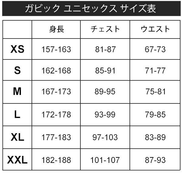 ウィンドブレーカー メンズ ガビック GAVIC ピステ トップ 裏メッシュ