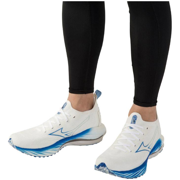 ミズノシューズ MIZUNO ミズノ ランニングシューズ メンズ 2E相当 GORE-TEX搭載