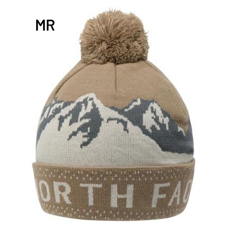 THE NORTH FACE（ザ ノースフェイス） ニット帽 メンズ レディース