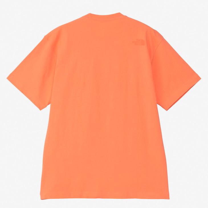 ペ*郎様 ノースフェイス トップス THE NORTH FACE（ザ ノースフェイス） ノースフェイス 半袖 Tシャツ