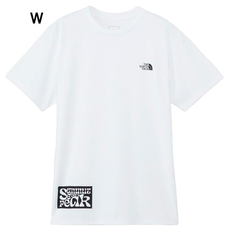 ★送料・関税込★THE NORTH FACE★M'S BISTI 半袖 Tシャツ★ THE NORTH FACE tシャツ 国内未発売 USモデル FACE(ザ・ノース