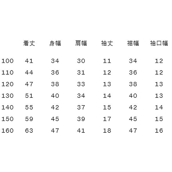 THE NORTH FACE（ザ ノースフェイス） キッズ 半袖 Tシャツ 120-160cm