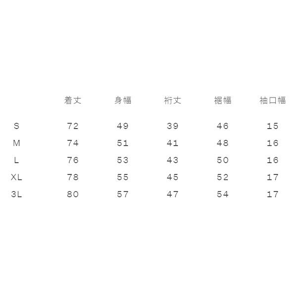 シャツ カンタベリー 半袖 Tシャツ メンズ ラグビー 日本代表