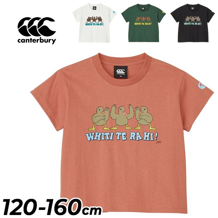 キッズ カンタベリー 半袖 Tシャツ 120cm 140cm 160cm 子供服