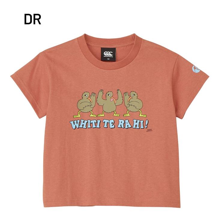 キッズ カンタベリー 半袖 Tシャツ 120cm 140cm 160cm 子供服