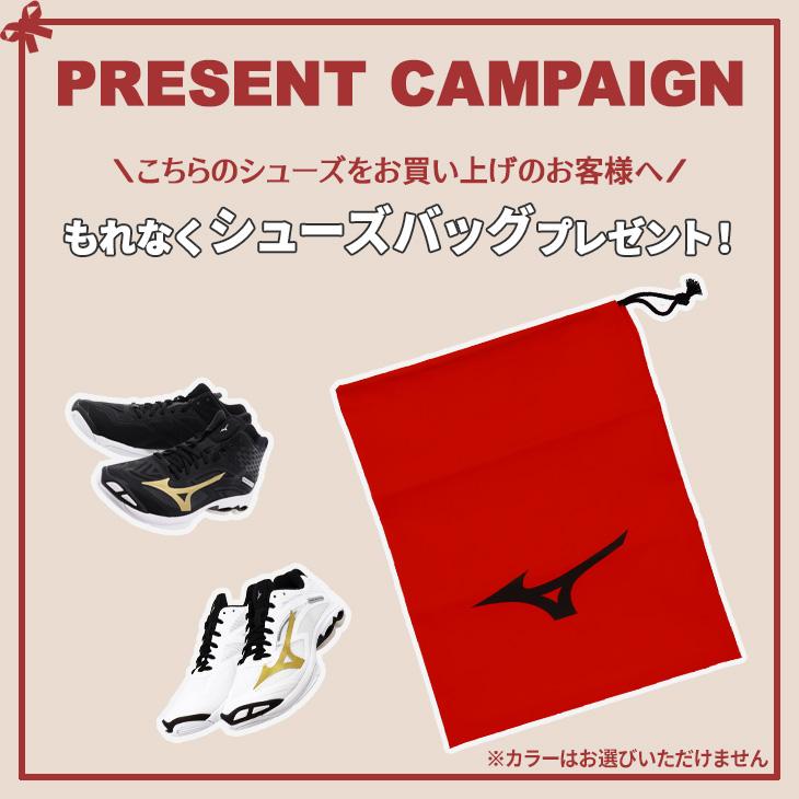 MIZUNO ミズノ バレーボールシューズ 2E相当 ミッドカット 当店 MIZUNO ミズノ バレーボールシューズ 2E相当 ミッドカット 当店