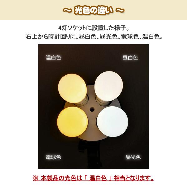 Panasonic（パナソニック） LED電球プレミアX 温白色 440lm 5.0W E17