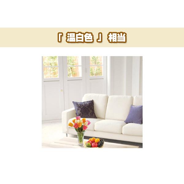 Panasonic（パナソニック） Panasonic LED電球 2個セット 温白色 一般