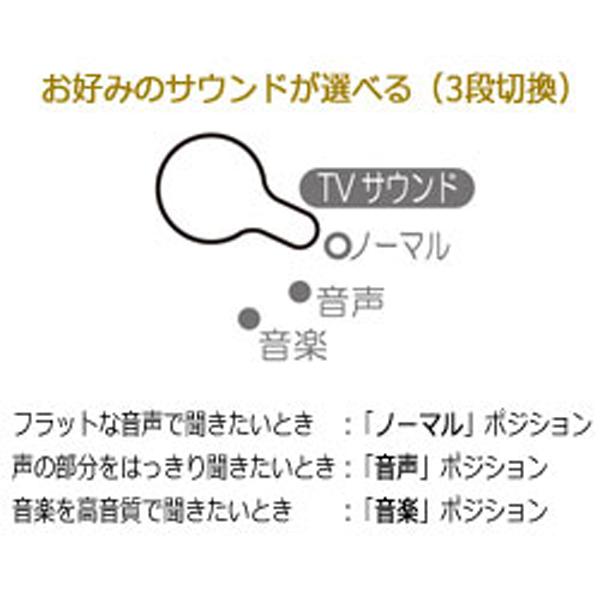 テレビ ワイヤレス スピーカー 手元スピーカーシステム TY-WSD11 テレビ ワイヤレス スピーカー 手元スピーカーシステム TY-WSD11