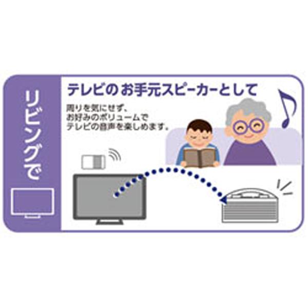 テレビ ワイヤレス スピーカー 手元スピーカーシステム TY-WSD11 テレビ ワイヤレス スピーカー 手元スピーカーシステム TY-WSD11
