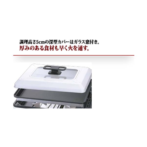 Iwatani（イワタニ） カセットガスホットプレート 焼き上手さんα
