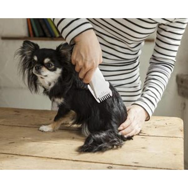 ロゼンスター（LOZENSTAR） ペット バリカン 猫 バリカン 電池式