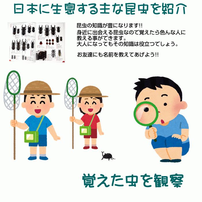 Kenko ルーペ 昆虫図鑑 学研 虫眼鏡・図鑑セット 2倍 100mm口径 KGA-02 Amazon.co.jp: Kenko ルーペ 昆虫図鑑 学研 虫眼鏡・図鑑セット 2倍