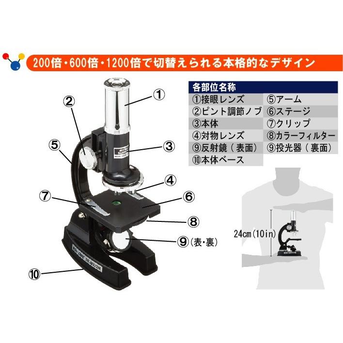 顕微鏡 最大10倍 メタル顕微鏡 子供 小学生 送料無料 Web Shop ゆとり Paypayモール店 通販 Paypayモール