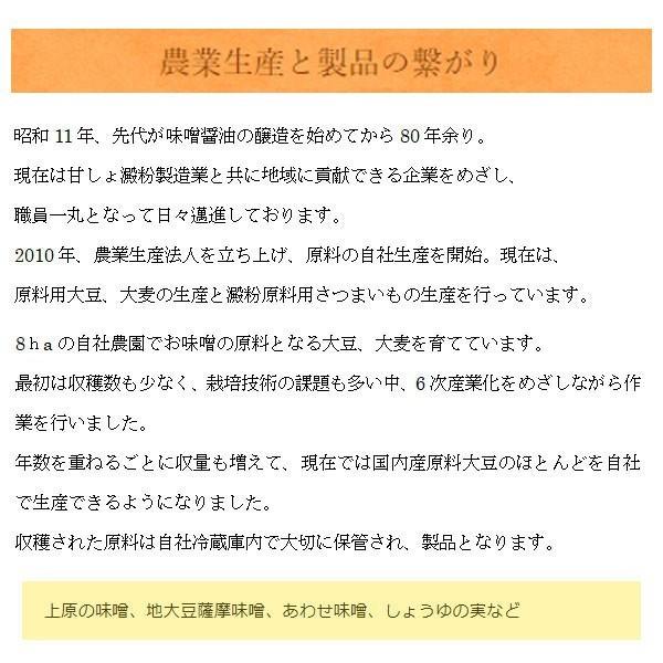 鹿児島 九州 こいくちしょうゆ 濃口 甘口 ヤマガミ 1000ml 6本セット 上原産業 お土産｜w-yutori｜06