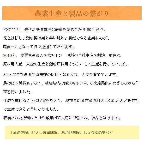 薄口醤油 鹿児島 九州 うすくちしょうゆ 薄口 淡口醤油 ヤマガミ 1000ml 3本セット 上原産業 お土産｜w-yutori｜05