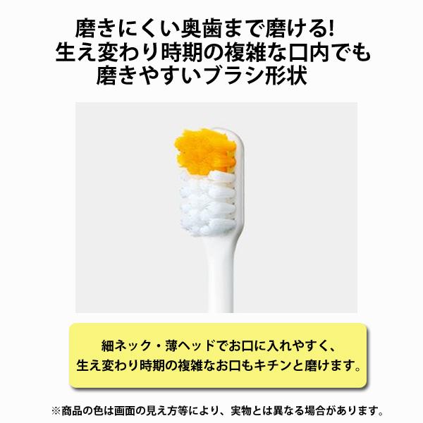 Panasonic（パナソニック） キッズドルツ ドルツ専用 こども用薄ヘッド