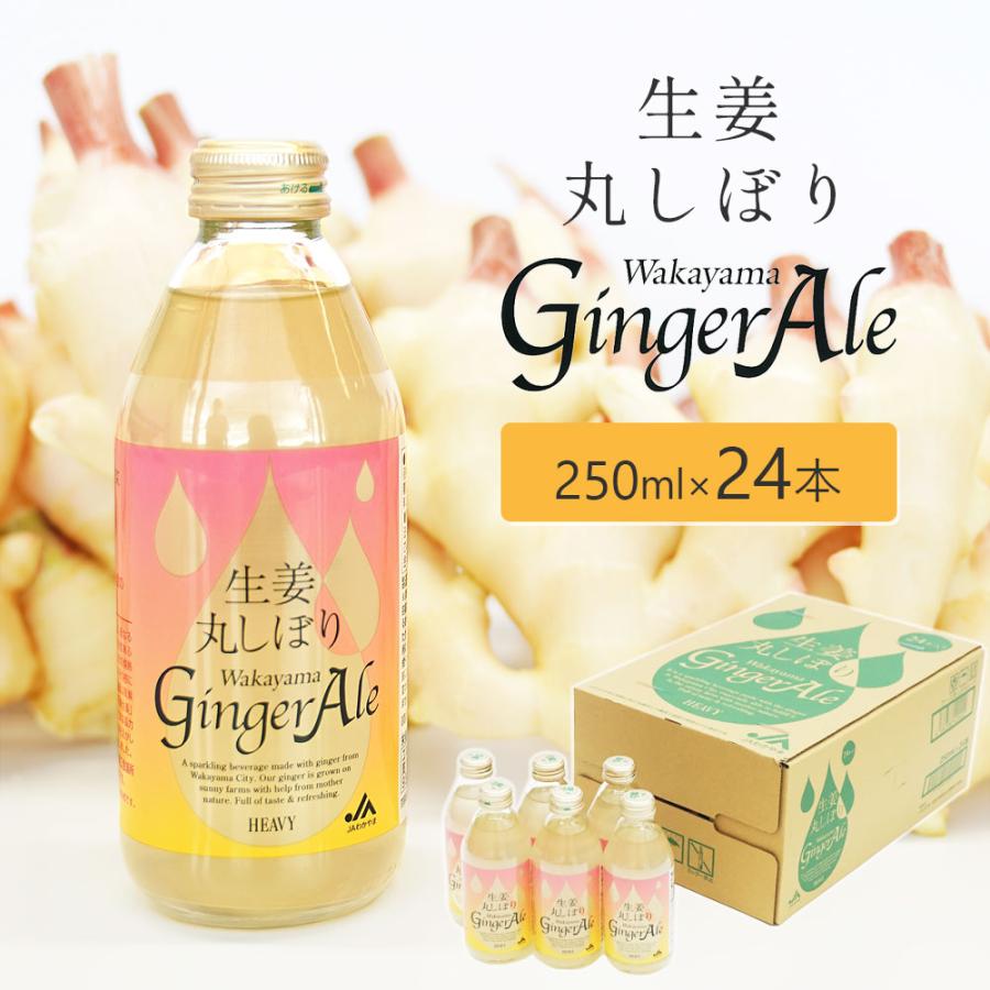 生姜丸しぼり Wakayama Ginger Ale 250ml×24本 セット 和歌山 新生姜
