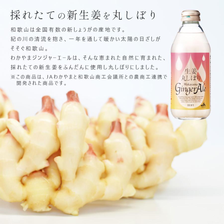 生姜丸しぼり Wakayama Ginger Ale 250ml×24本 セット 和歌山 新生姜
