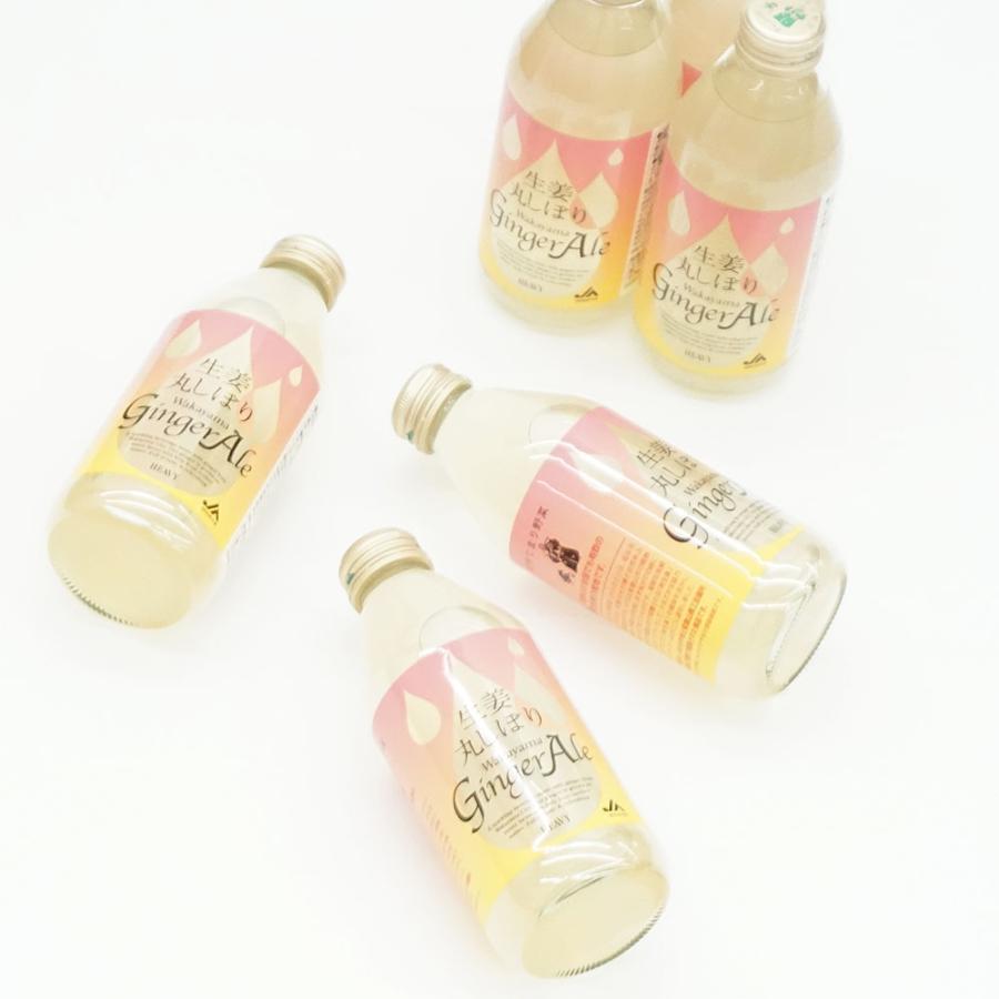 生姜丸しぼり Wakayama Ginger Ale 250ml×24本 セット 和歌山 新生姜