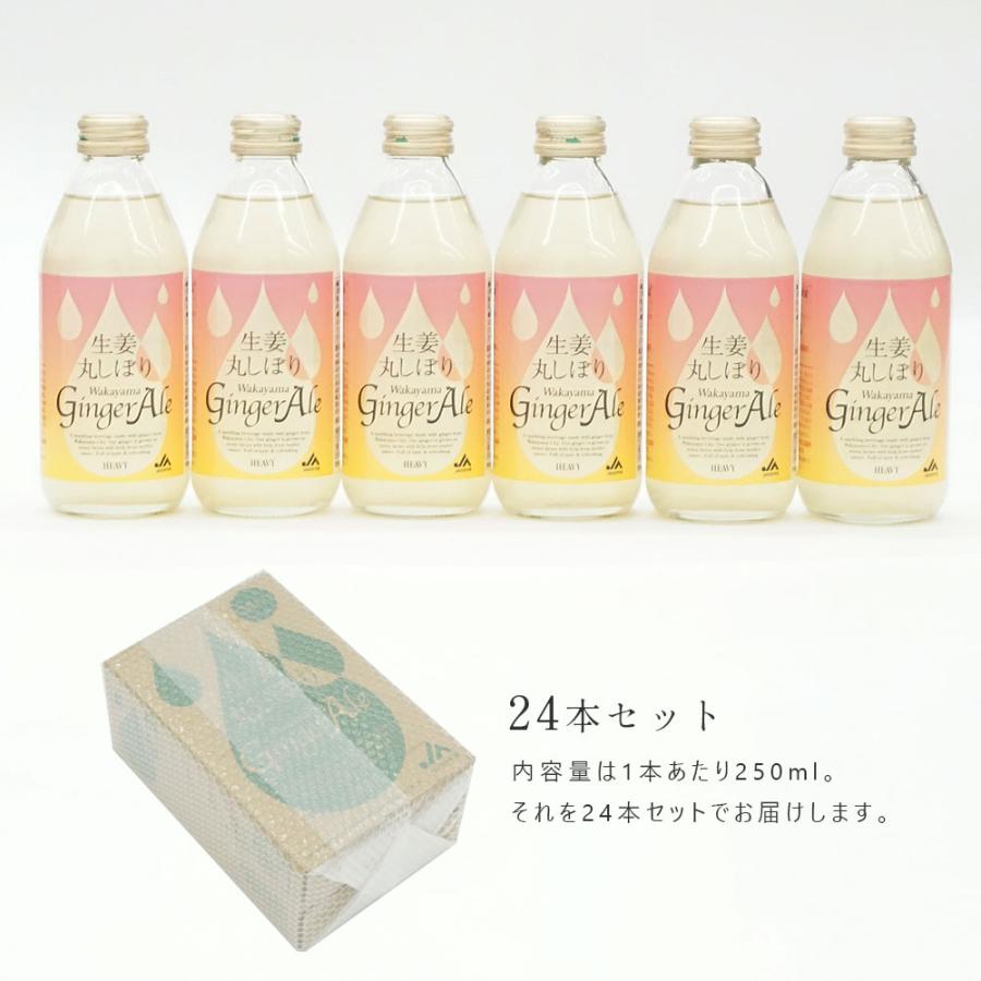 生姜丸しぼり Wakayama Ginger Ale 250ml×24本 セット 和歌山 新生姜