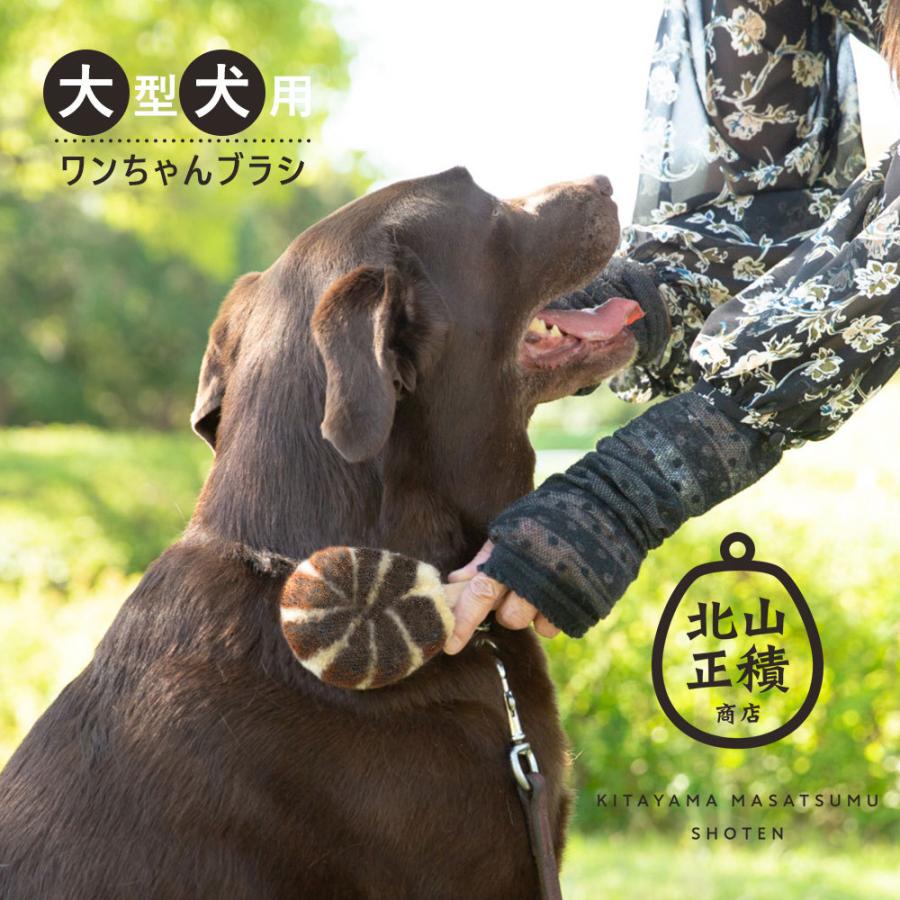 北山正積商店 ペットたわし 大型犬用 ブラシ ペット 犬 犬ブラシ ペット用 ブラッシング 犬用品 たわし 棕櫚 おしゃれ 日本製 ギフト Kmb 1 暮らしと眠りを楽しむ店 和っふる 通販 Yahoo ショッピング