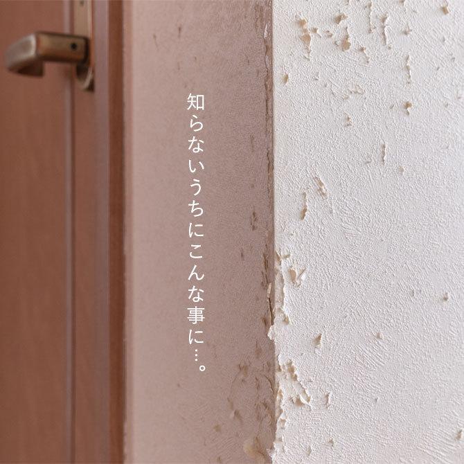 ペット壁保護シート はがせる 弱粘着タイプ（46cm×1m）犬 猫 ひっかき