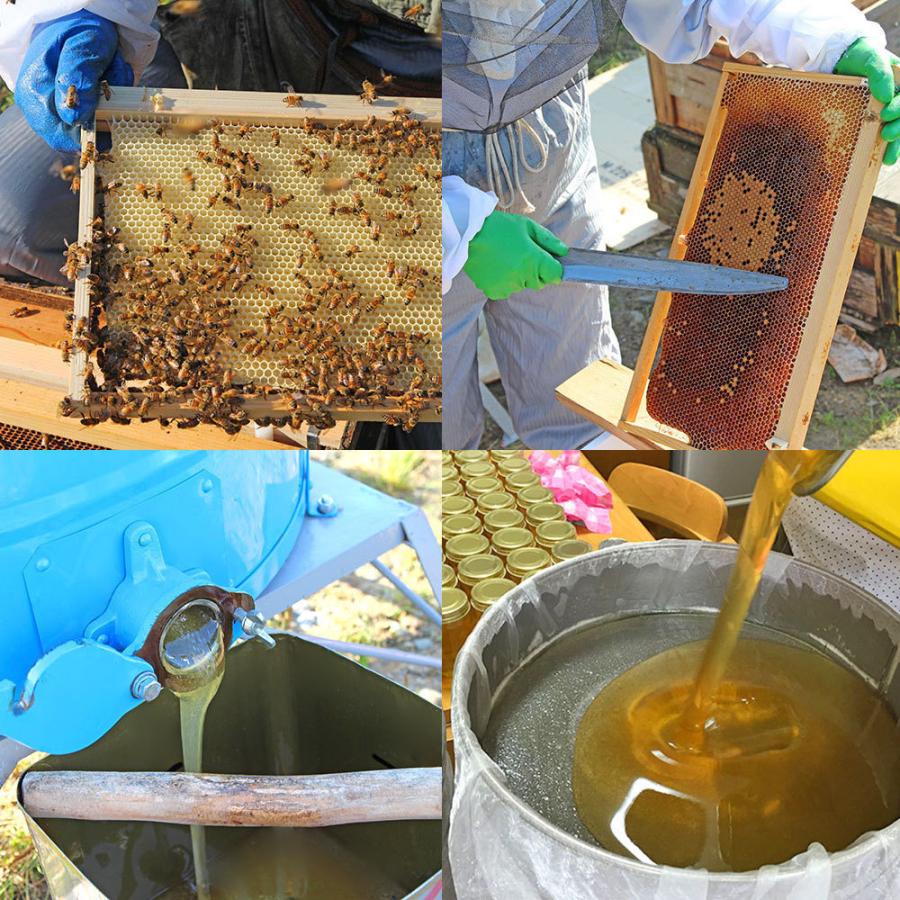 村上養蜂 百花 はちみつ 国産 蜂蜜 ハチミツ 1200g 1.2kg 和歌山産  