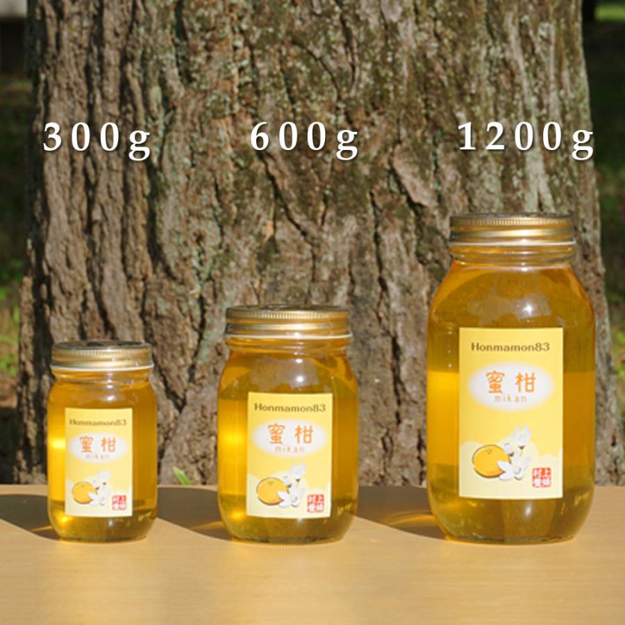 村上養蜂 蜜柑 みかん はちみつ 国産 蜂蜜 ハチミツ 300g 和歌山産
