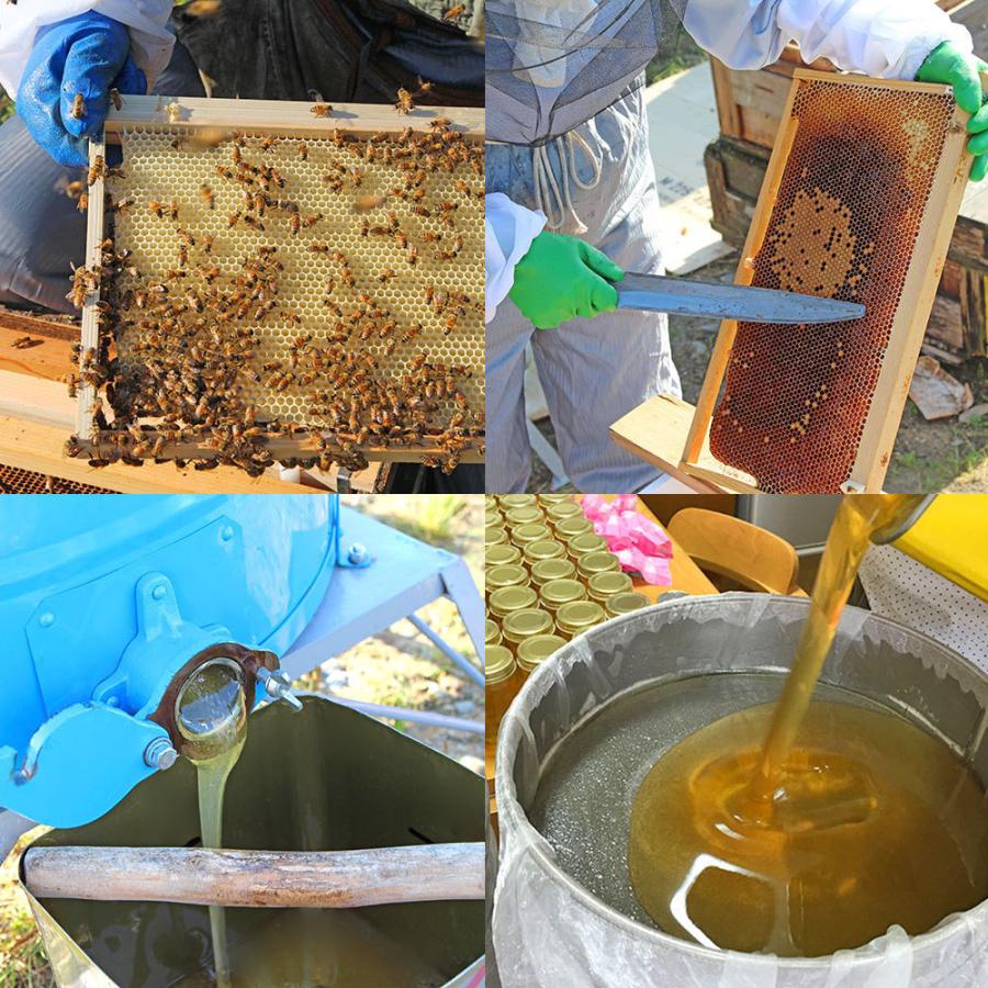 村上養蜂 蜜柑 みかん はちみつ 国産 蜂蜜 ハチミツ 600g 和歌山産