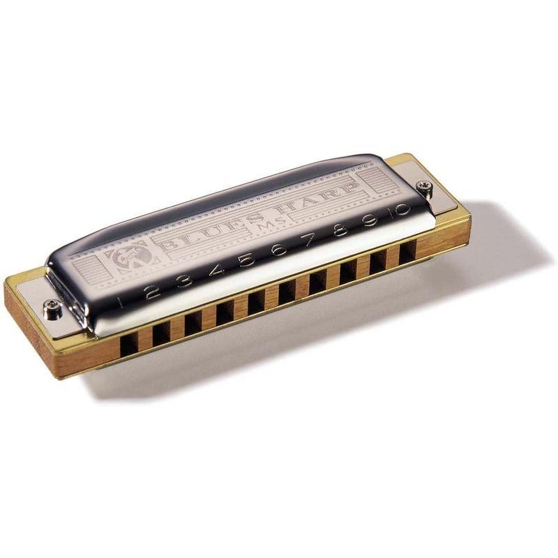 大人気商品 ブルースハープhohner Blues Harp 532 ms Key D ハーモニカ Www Ellepiserramenti It
