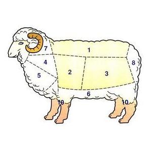 ドイツ・ビラベック社製 オリジナル最高級羊毛敷き布団（シングルサイズ）｜wa-honten｜07