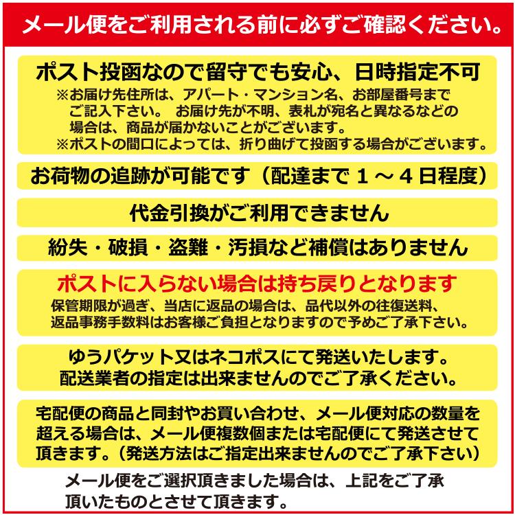 和装肌着 和装ブラ 2点セット メール便 オールシーズン スリップ ワンピース ブラジャー 着物 浴衣 振袖 肌着 洗える 花嫁 メッシュ 着物用肌着 和装 下着｜wa-ka-yah｜15