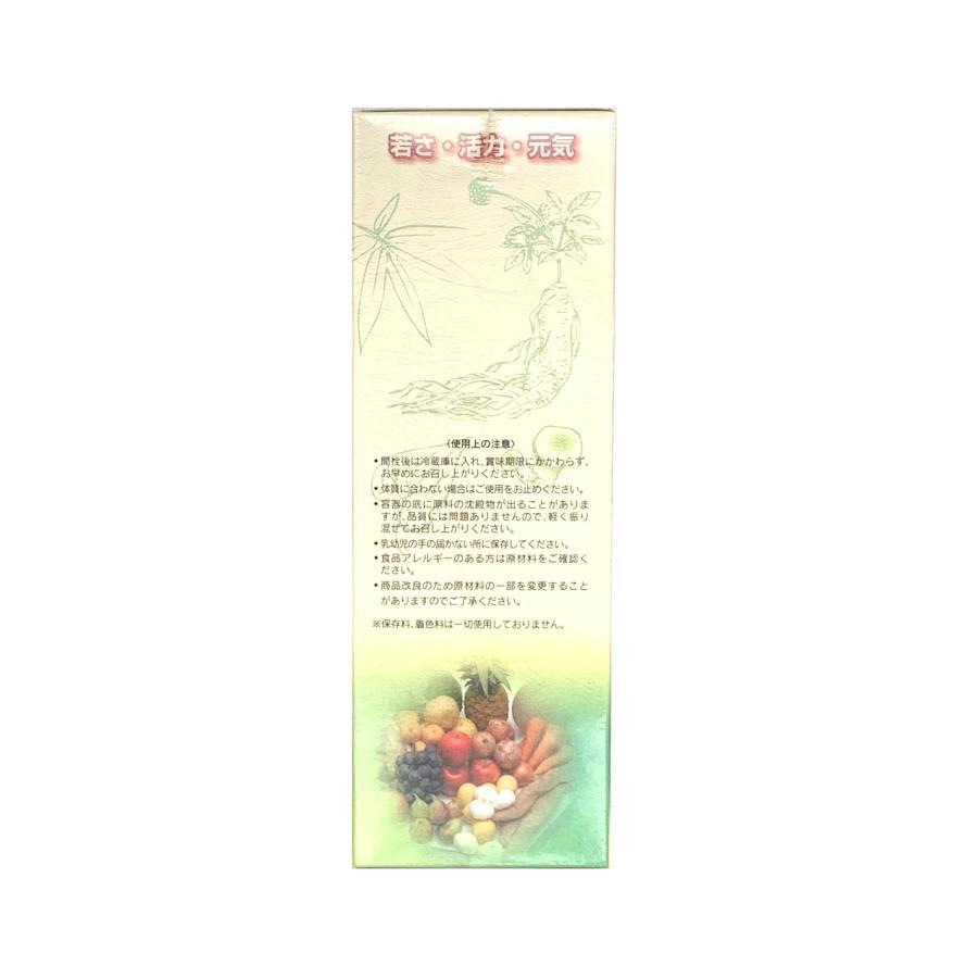 元氣芯 500ml 2本 酵母 野草酵素飲料 野草 果物 野菜 キノコ 海藻類 約 