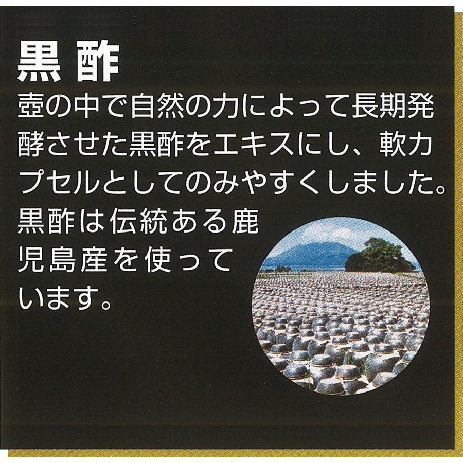 伝統のちからGOLD 40粒 栄養機能食品 ビタミンB1 黒酢 黒にんにく 生姜 卵黄油 DHA EPA 富山 とやま 廣貫堂｜wa-mu｜05