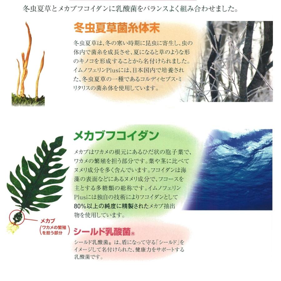 送料無料 イムノフェリンPlus 40粒 栄養補助食品 冬虫夏草 メカブフコイダン シールド乳酸菌 富山 第一薬品工業|wa-mu|02