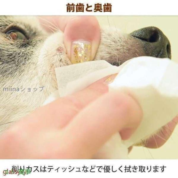 愛犬・愛猫用 歯石取り ペンチ 犬 歯石 デンタルケア ホームケア 猫 プロも愛用｜waay-st｜11