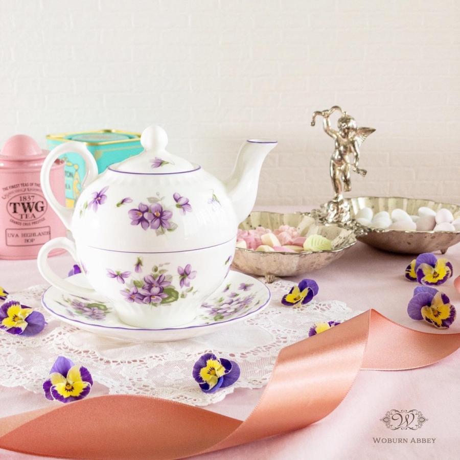 Aynsley 正規輸入品 エインズレイ イングリッシュバイオレット Aynsley 正規輸入品 エインズレイ イングリッシュバイオレット