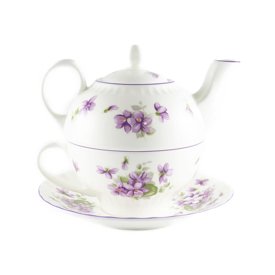 Aynsley 正規輸入品 エインズレイ イングリッシュバイオレット Aynsley 正規輸入品 エインズレイ イングリッシュバイオレット