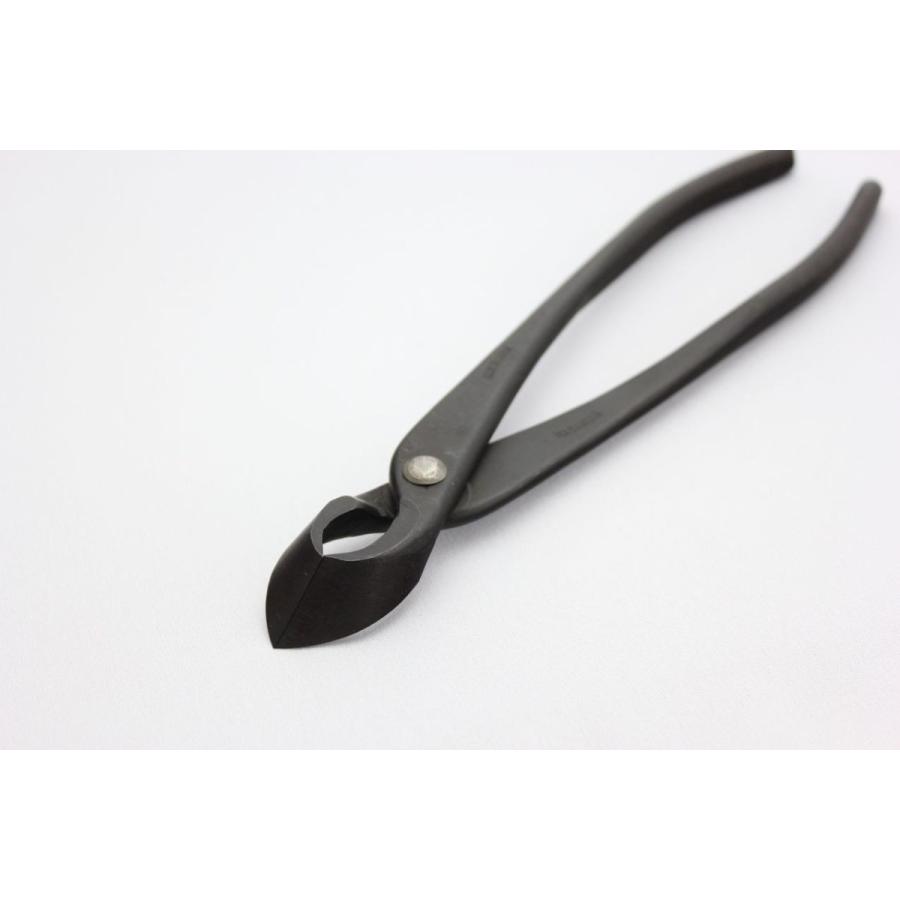 昌国 又枝切 No,16 : 盆栽ショップ わびさび Yahoo!店 - 通販 - Yahoo