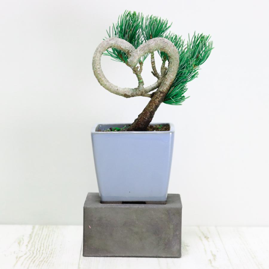 盆栽台・花台 数量限定品 淡路産 瓦キューブ（花台）小 Kawara : 盆栽ショップ