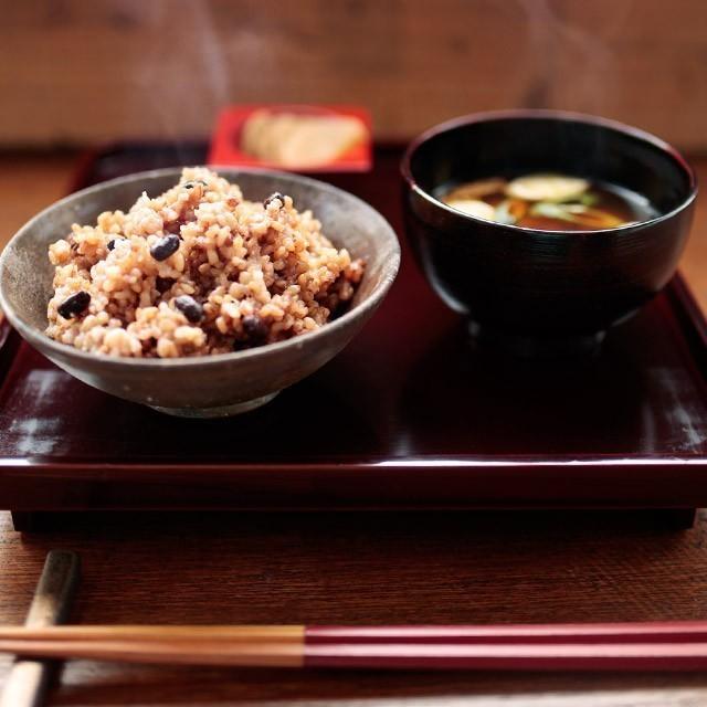 玄米 パック 酵素玄米 4日寝かせ おむすび型 90g 20個セット 冷凍 無