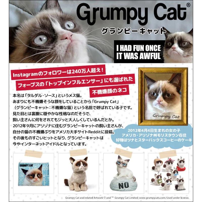 ぶさかわネコ タルダルソース 結婚式 誕生日 記念日 合格祝い ぶさかわネコ タルダルソース 結婚式 誕生日 記念日 合格祝い
